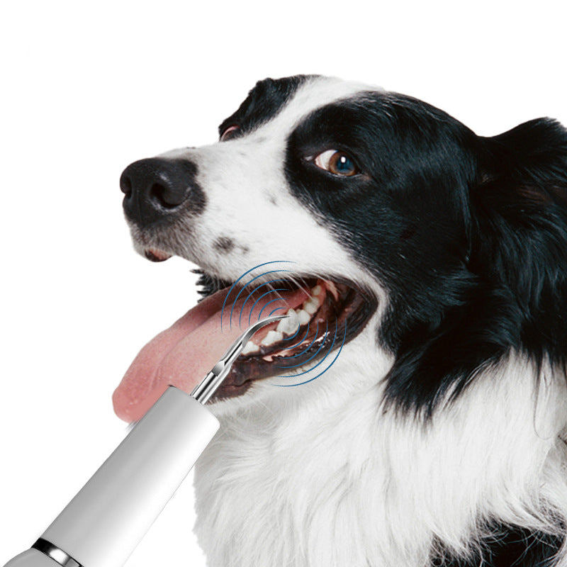 Limpiador Dental Ultrasónico para Mascotas