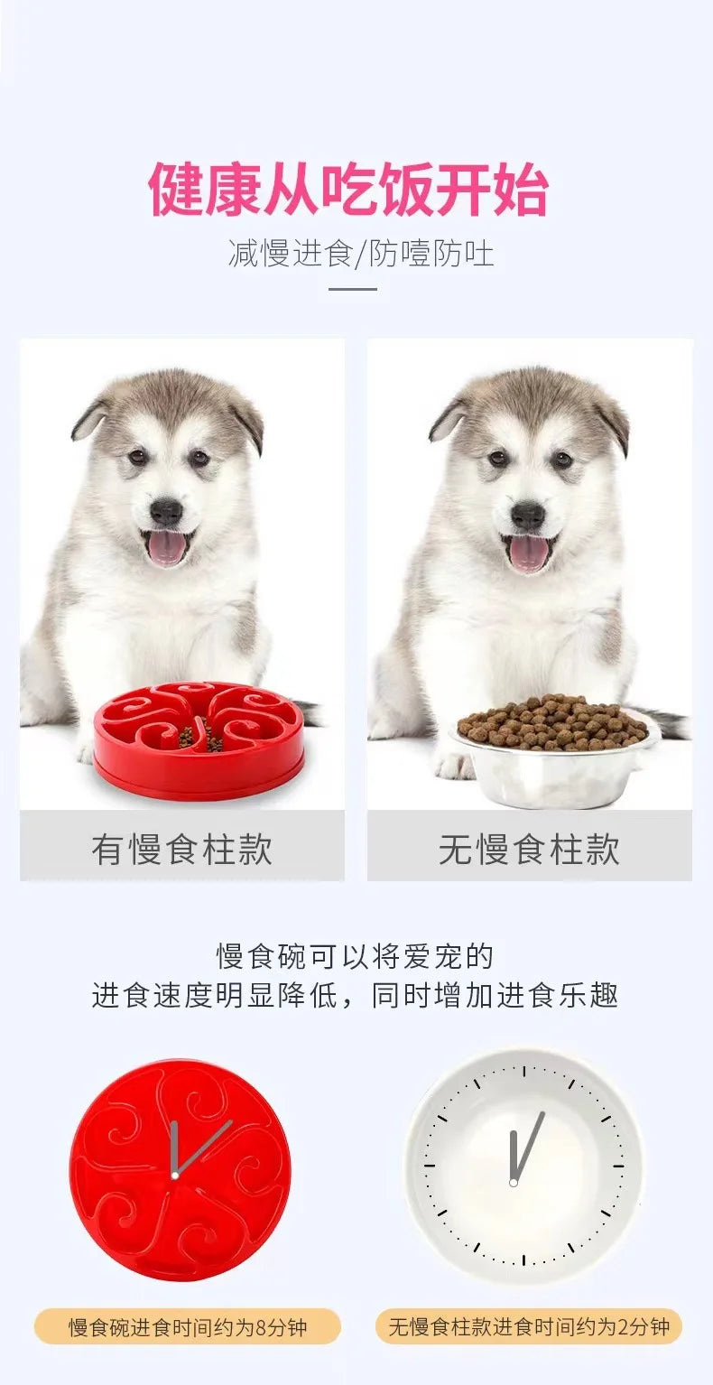 Cuenco Slow Feeder para Perros — Comedero Antiahogo con Laberinto