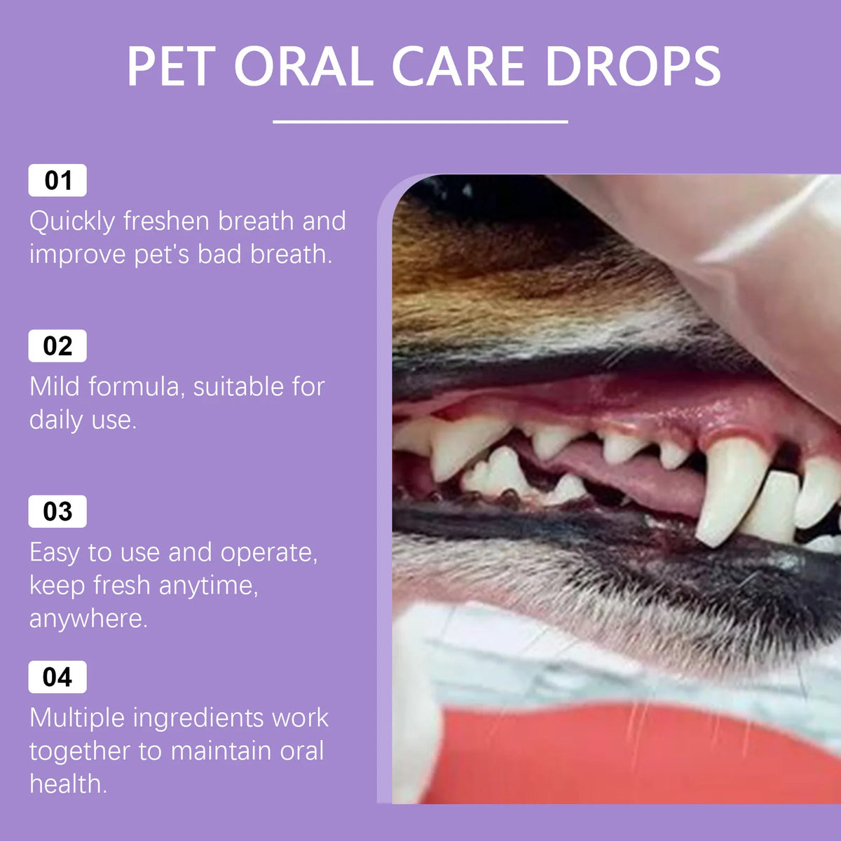Spray Dental para Perros y Gatos — Aliento Fresco e Higiene Oral