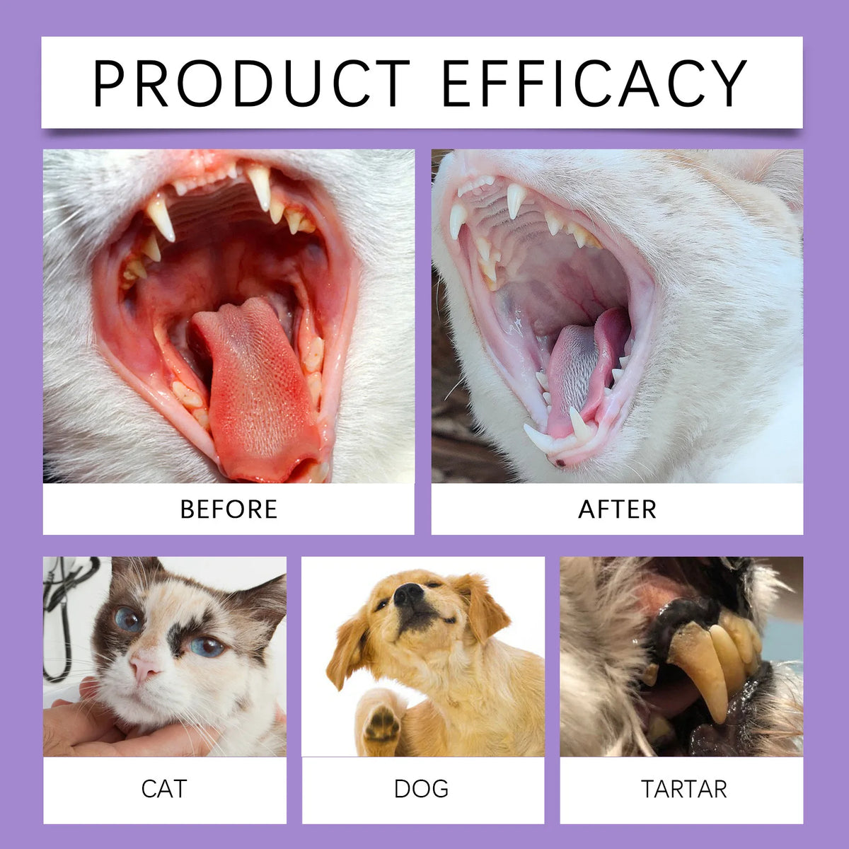 Spray Dental para Perros y Gatos — Aliento Fresco e Higiene Oral