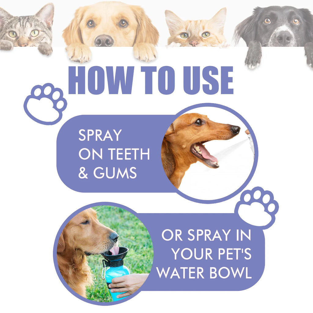 Spray Oral para Perros y Gatos — Ayuda a Eliminar Placa y Sarro