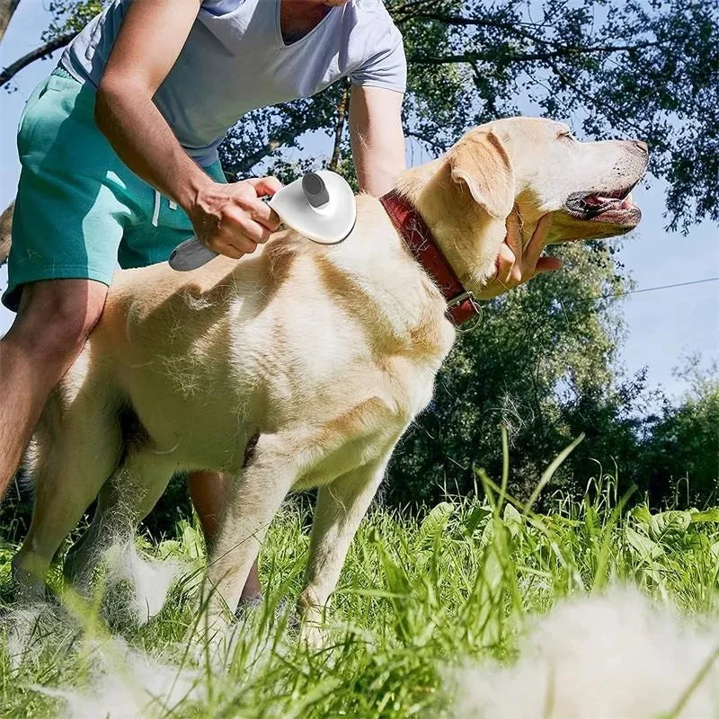 Cepillo Autolimpiable para Perros y Gatos — Desenredado y Eliminación de Pelo