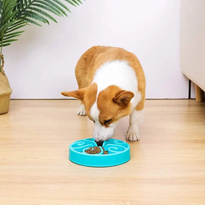 Cuenco Slow Feeder para Perros — Comedero Antiahogo con Laberinto