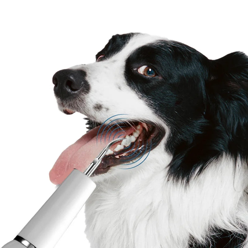 Limpiador Dental Ultrasónico para Mascotas