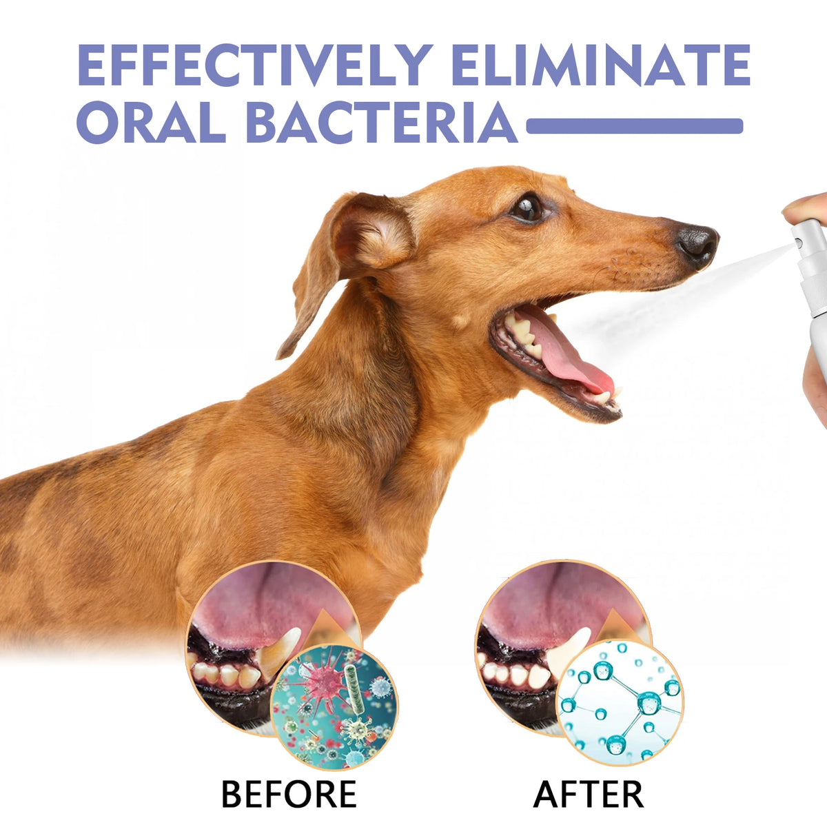 Spray Oral para Perros y Gatos — Ayuda a Eliminar Placa y Sarro