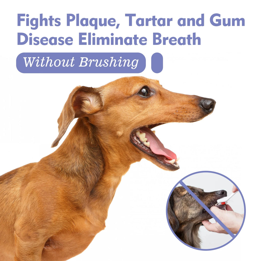 Spray Oral para Perros y Gatos — Ayuda a Eliminar Placa y Sarro