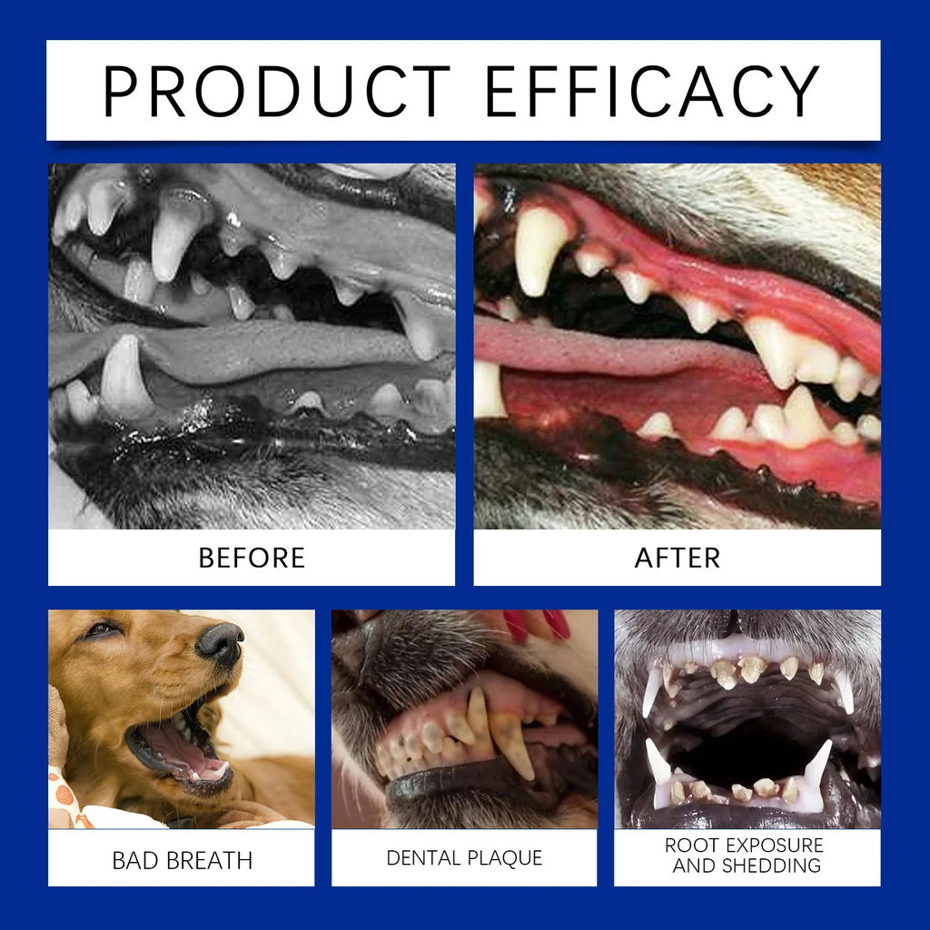 Polvo para Limpiar Dientes y Eliminar Sarro para Perros y Gatos