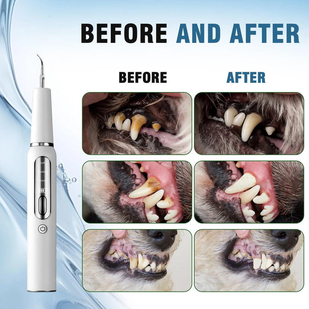 Limpiador Dental Ultrasónico para Mascotas