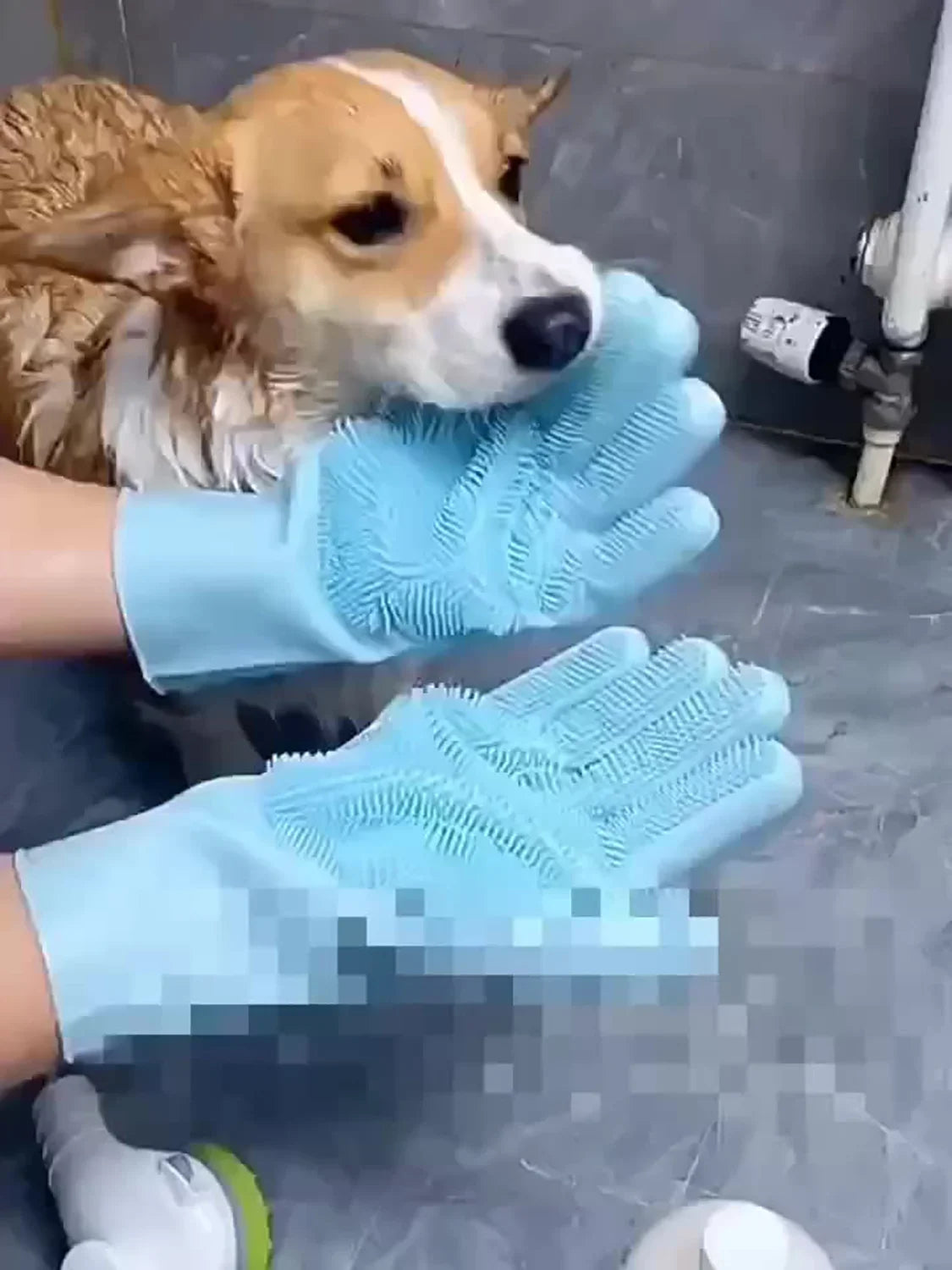 Guante de Aseo para Perros y Gatos — Masaje y Eliminación de Pelo