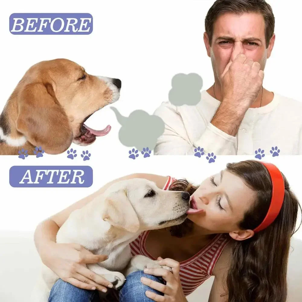 Spray Dental para Perros y Gatos — Aliento Fresco e Higiene Oral
