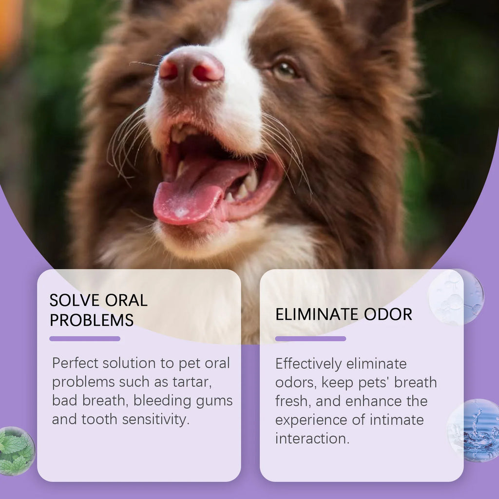 Spray Dental para Perros y Gatos — Aliento Fresco e Higiene Oral