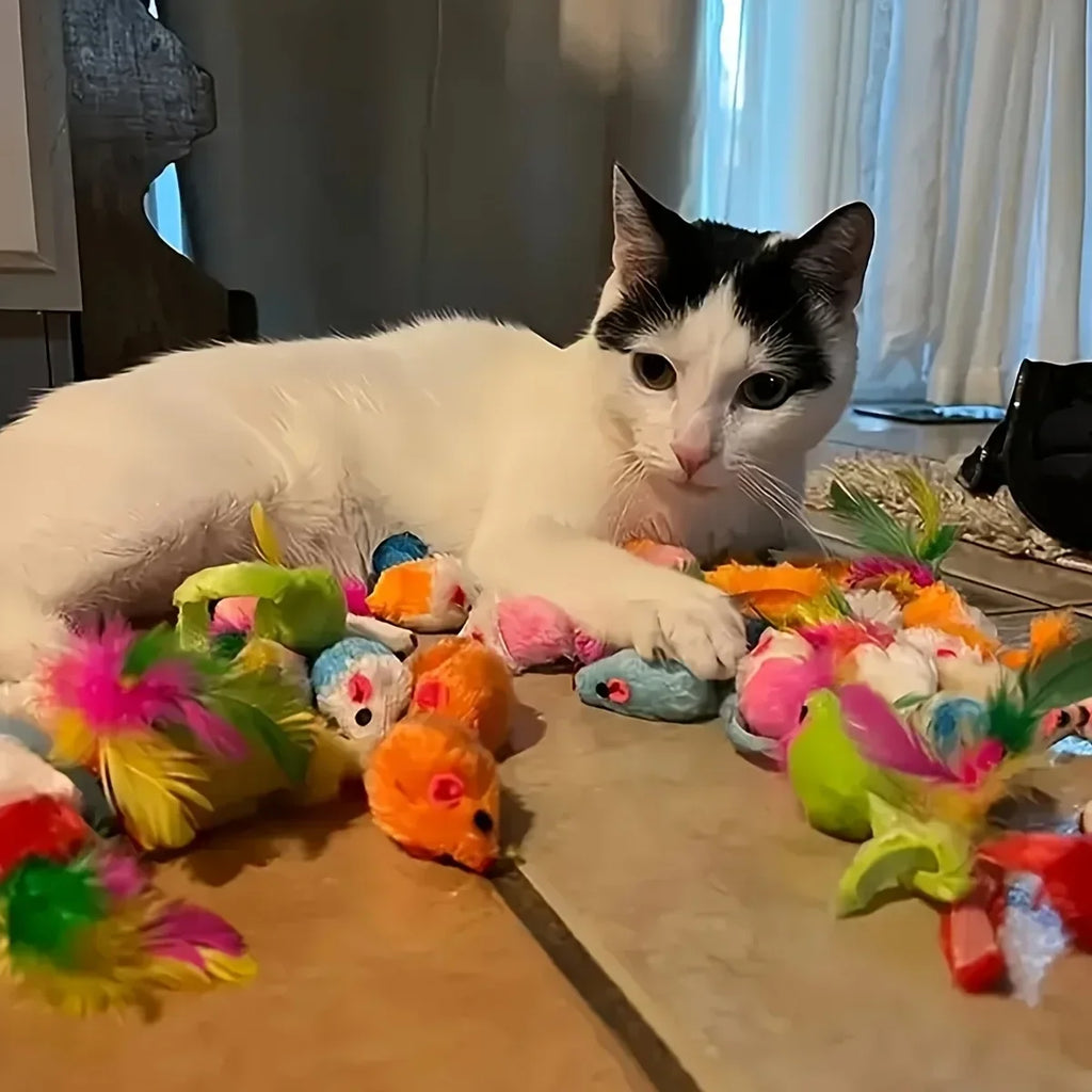 Pack de Juguetes para Gatos — 14, 28 o 56 Piezas