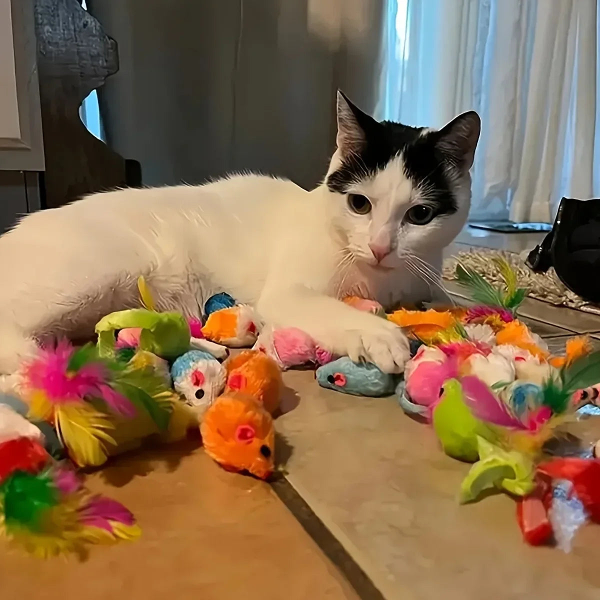 Pack de Juguetes para Gatos — 14, 28 o 56 Piezas