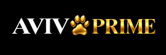 AVIV PRIME - Home